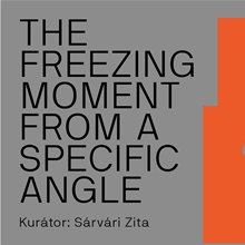 Kortárs fotókiállítás: The Freezing Moment from a Specific Angle