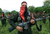 eln