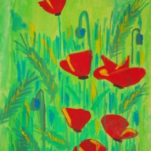 Red poppys - 2009