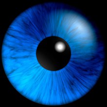 Optikai illúziók – Fedezzük fel az agy és a szem titkait!