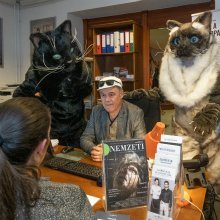 Embernagyságú macskák lepték el az Andrássy utat