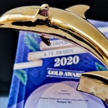 Arany Delfin díjat kapott a Magyar Turisztikai Ügynökség