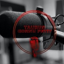 Taurus Cornu Petit - a művészeti podcast