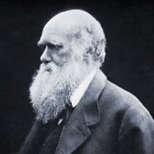 Csaknem 900 ezer dollárért kelt el Darwin egy aláírt kézirata