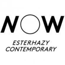 Tizennyolc pályázatot jelöltek Esterházy Art Awardra