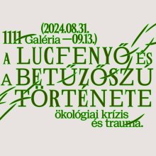 A lucfenyő és a betűzőszú története - ökológiai krízis és trauma