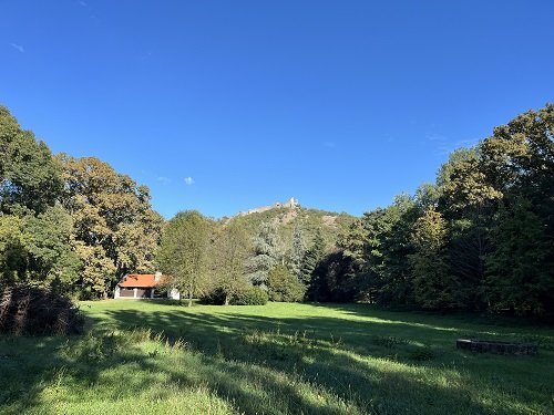 Tomboló vihar, pacal és sós kifli