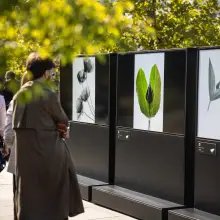 Egy héttel tovább látogatható a Magyarország 365 fotókiállítás a Városligetben