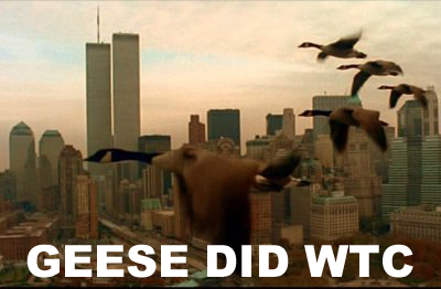 Geese did WTC