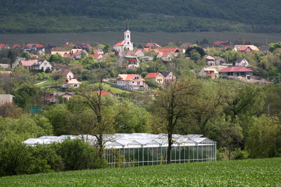 Telki külső