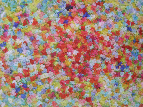 Beatrice Lanter: Flowers all over 2010. 77x115 cm