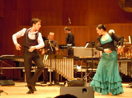 Flamenco xilofonra - Perku-Va