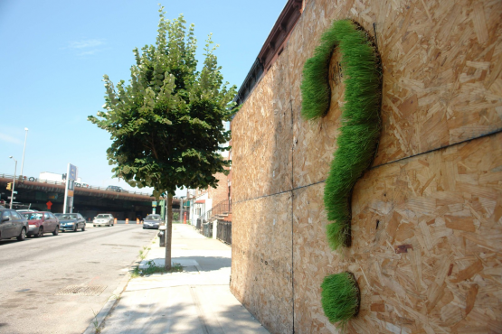 Növénygraffiti