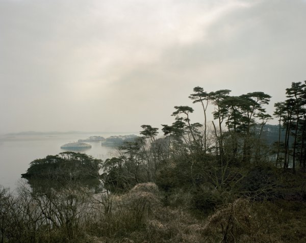Szatmári Gergely: Morning in Matsushima