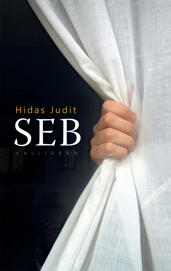 Hidas Judit: Seb - könyvborító