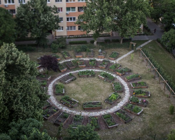 Kállai Márton: Kelen kert