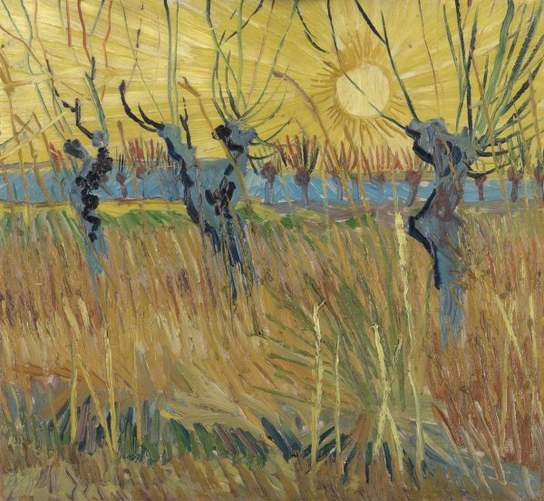 Van Gogh: Salici potati al tramonto
