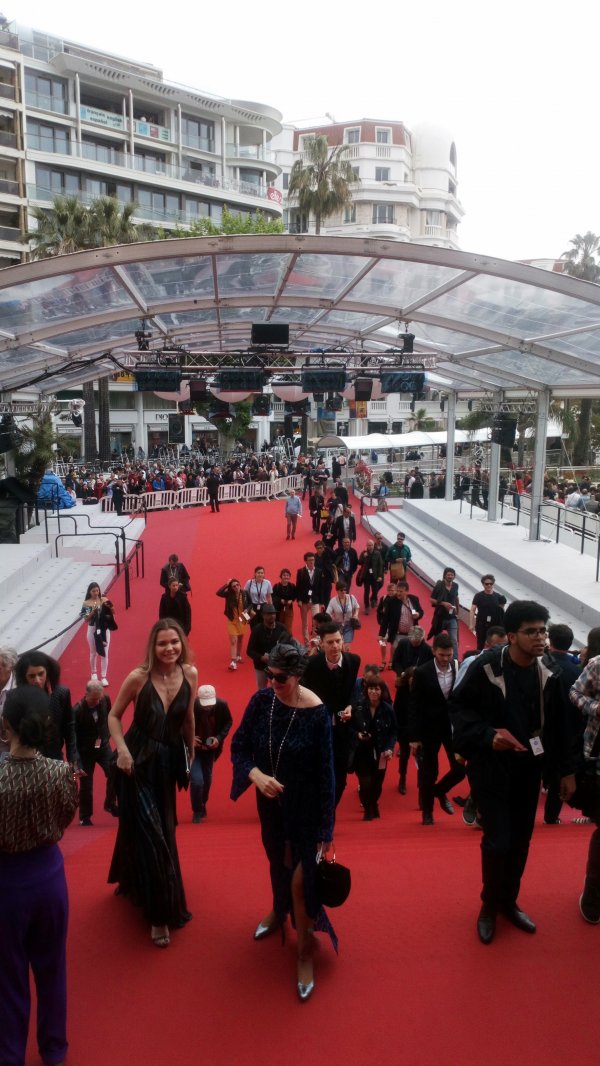 Cannes: vörös szőnyeg