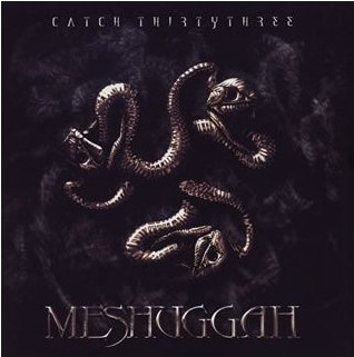 Meshuggah Catch 33