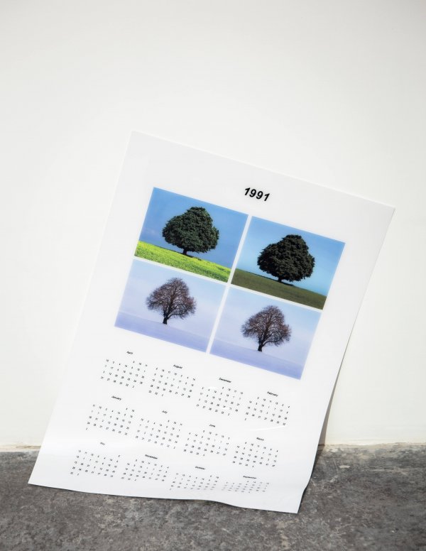 Mézes Tünde - A könyvtáros naptára, digitális print, plexi 70x50cm