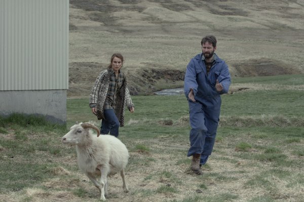 Noomi Rapace, Hilmir Snær Guðnason és egy juh a Bárány című filmben. Forrás: Vertigo Média