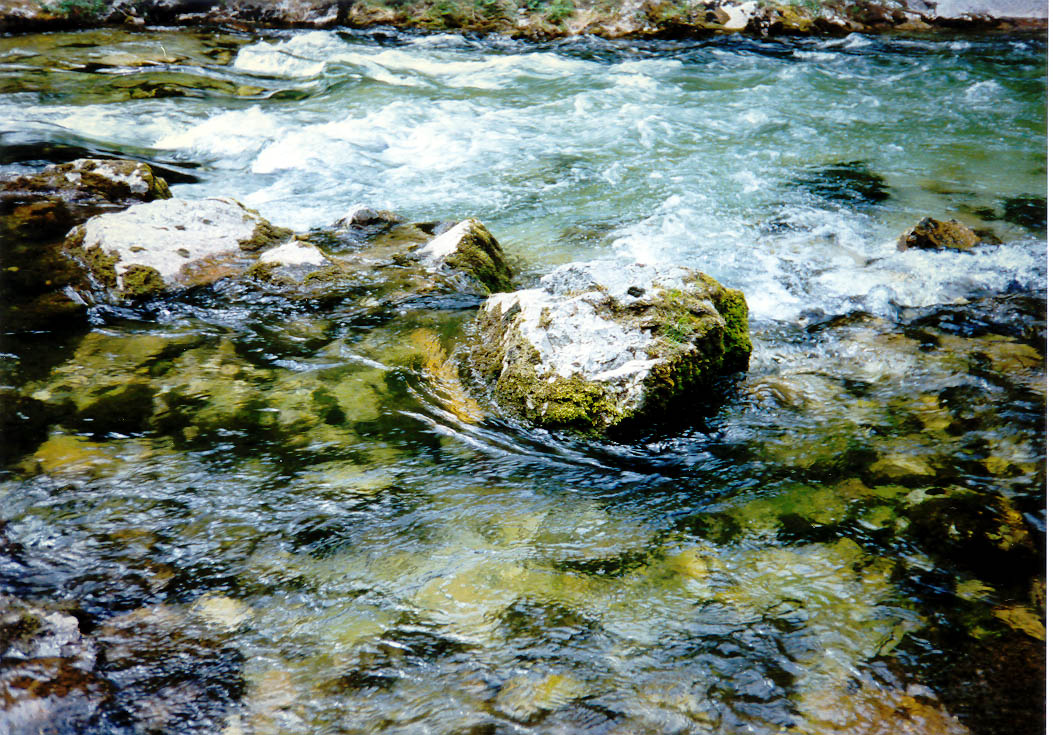 Scwartza patak, Ausztria, 1996